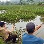 Chụp Cá Rô Phi Cách Bắt Cá Chỉ Có Ở Miền Tây Fishing Planet