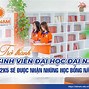 Học Bổng Đại Nam 2022 Là Gì Khi Nào Nhập Học