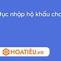 Hướng Dẫn Nhập Khẩu Cho Con Mới Sinh Online