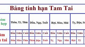 Những Tuổi Mắc Tam Tai Năm 2025